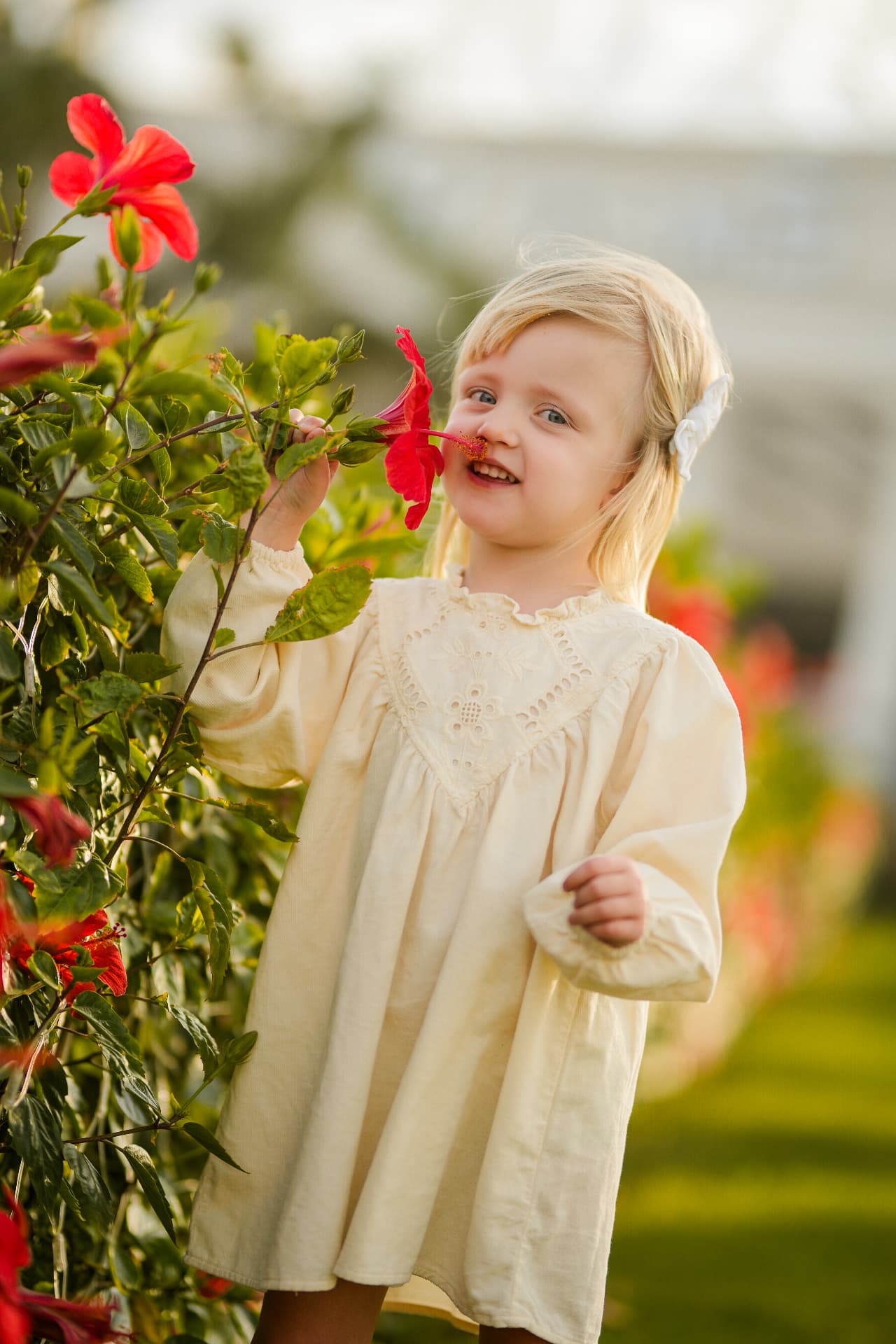 Girl in a cream dress smelling a red hibiscus flower