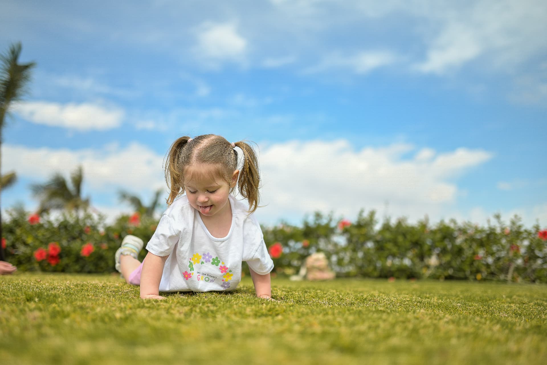Toddler girl crawling on a sunlit lawn under a blue sky
