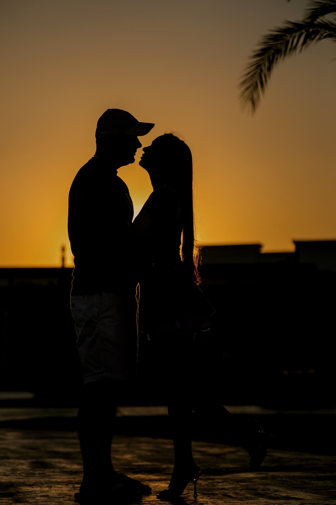 Silhouette of a couple leaning together under a palm at sunset